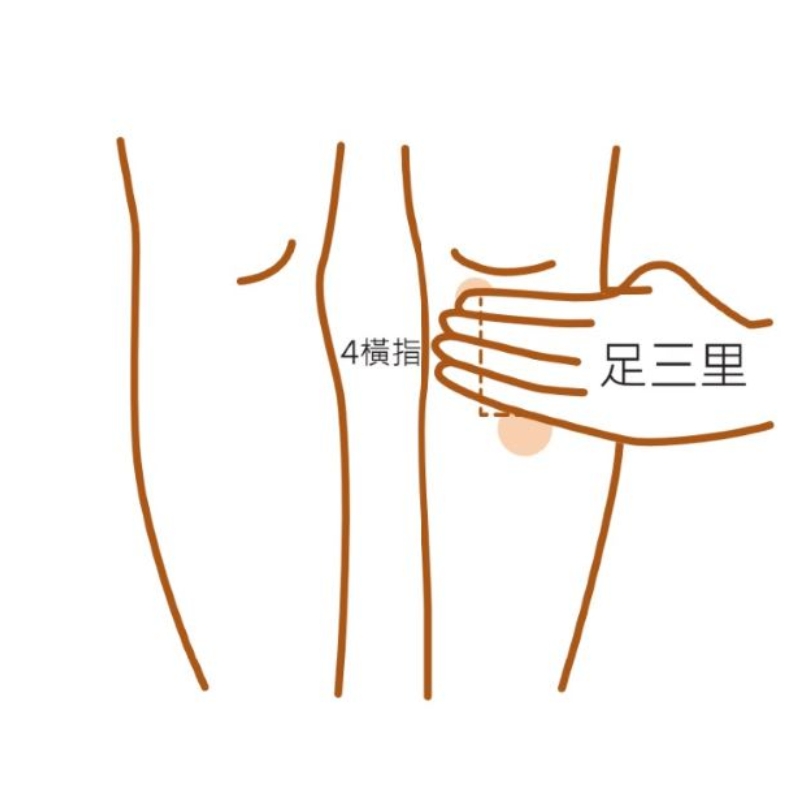 長輩吃不下飯怎麼辦？中醫師：常捏姆指根部、吃這碗粥健胃開脾_img_3