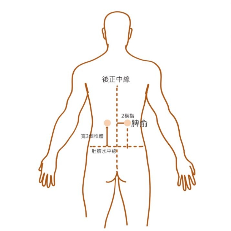 長輩吃不下飯怎麼辦？中醫師：常捏姆指根部、吃這碗粥健胃開脾_img_4