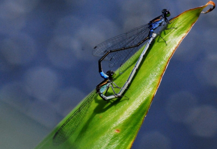 退休後把同事電話全刪！江育誠：不用再為別人活的這一天，我準備了10年_img_4