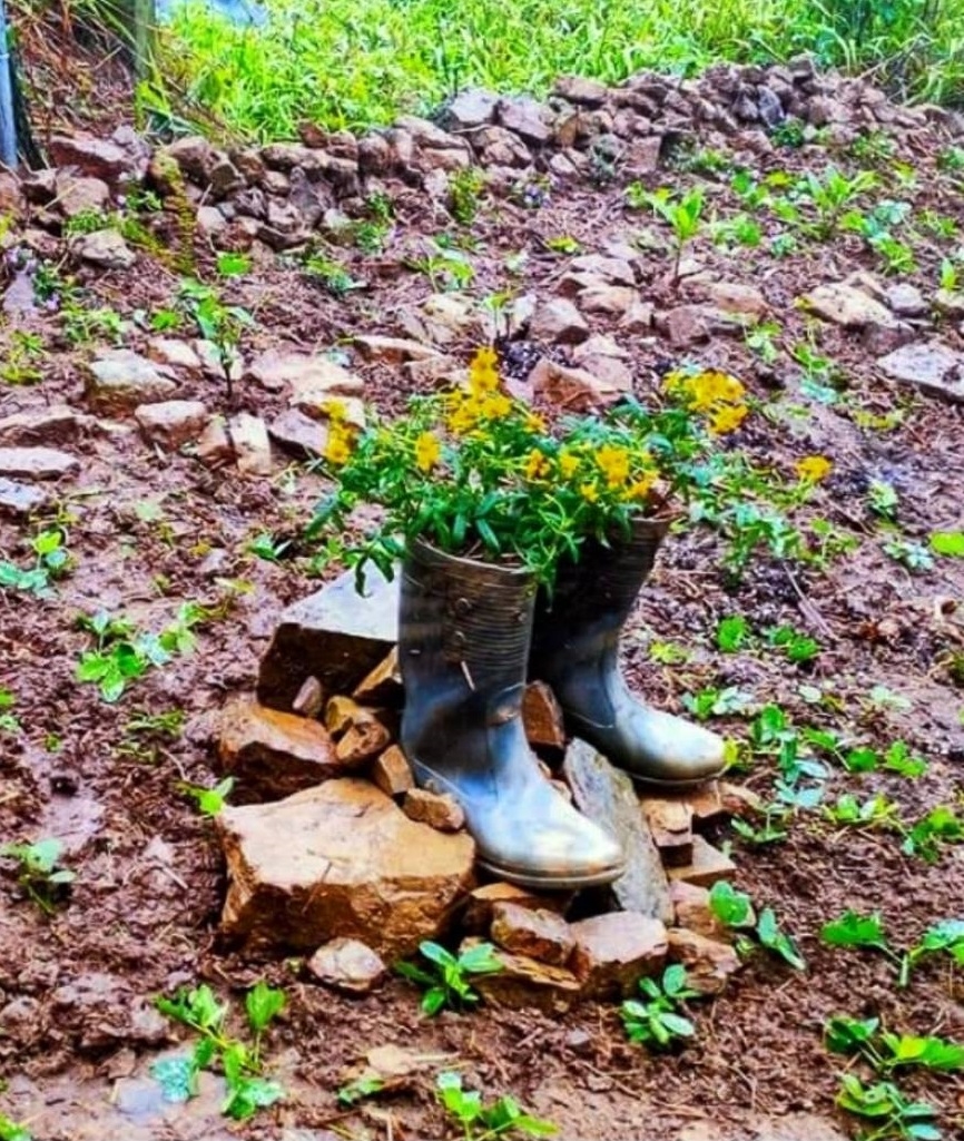 60歲後到農場打工換宿！蘇秀玲：不買地，照樣能享受田園生活 _img_1