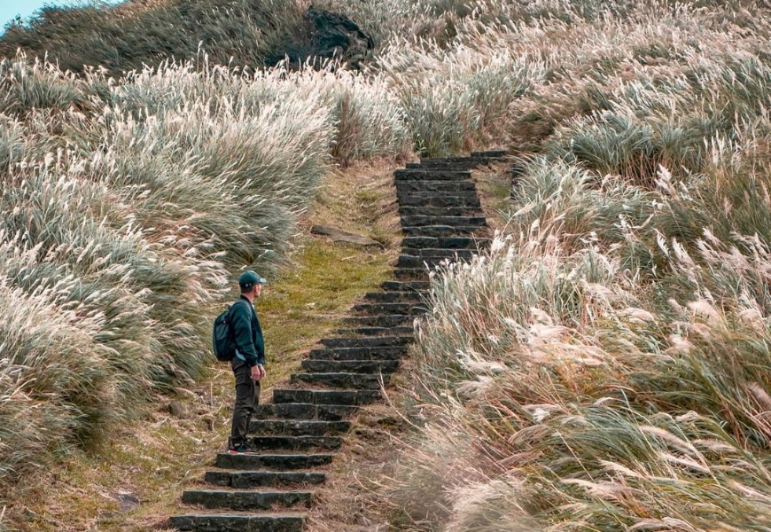 週末就是要爬山！精選5條登山步道：七星山賞雪白芒花、抹茶山眺蘭陽美景_img_4