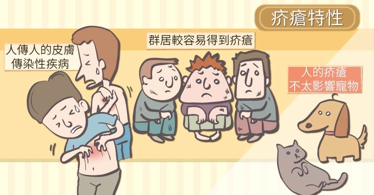 北市聯醫陽明院區疥瘡群聚感染！疥瘡是什麼？該如何預防與根除？_img_1