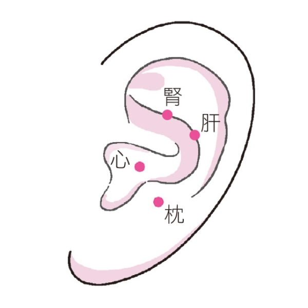 多動手指會讓大腦更靈活!保養大腦的8個好習慣,防失智小處做起_img_5