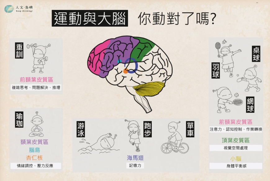 防失智與改善情緒，要做不同運動！一張圖秒懂大腦與運動如何對症選擇_img_2