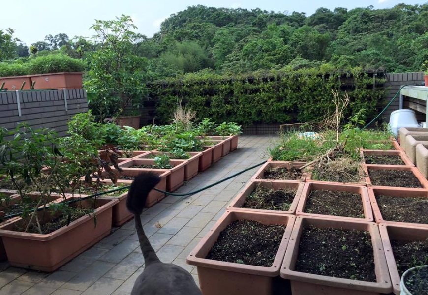 19歲擔任辜家管家,學恰到好處的體貼!許傑輝:人生疲累時,就到陽台一下吧_img_2