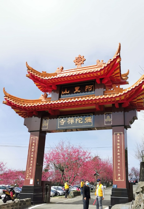 一期一會的燦爛盛放!50+讀者分享全台7處櫻花美景_img_10