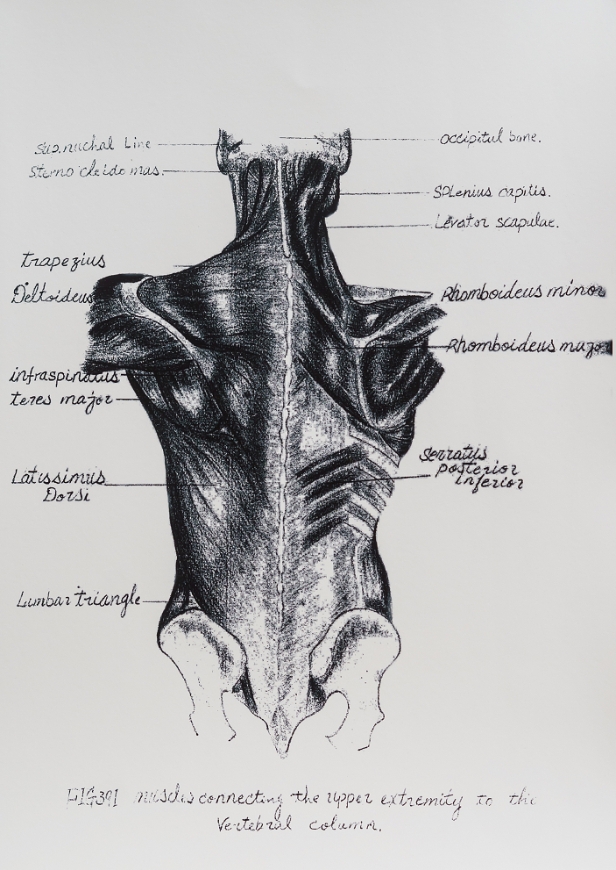 88歲還背得出長恨歌、為太太下廚60年不嫌累！  實踐大學董事長謝孟雄的養生與快樂之道_img_1