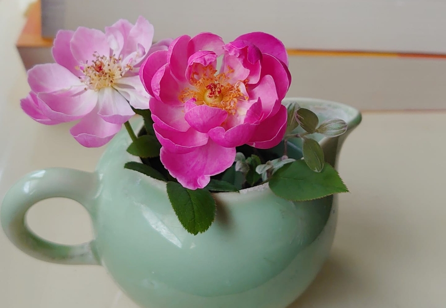 50後用一半收入，維持一樣的好生活！葛晶瑩：可以伺候好老闆，為何不好好伺候自己？_img_2