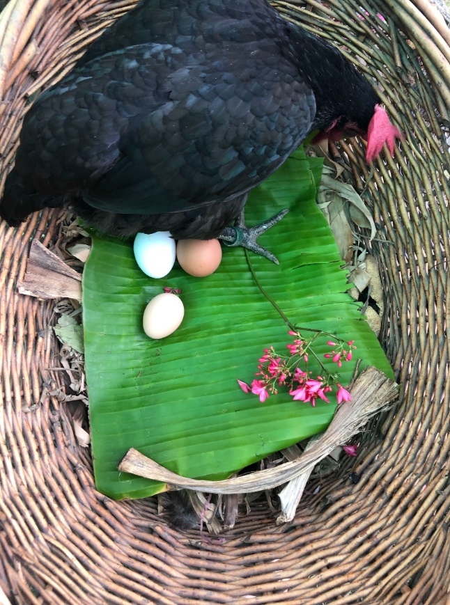 走路是新的獨處!龍應台:打開所有的「覺」,每一年做一件超過的事_img_3