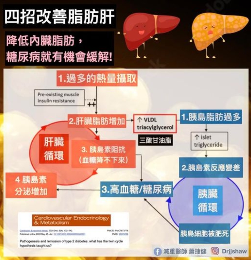如何減少內臟脂肪？4件事改善脂肪肝，預防糖尿病、逆轉胰島素阻抗_img_1