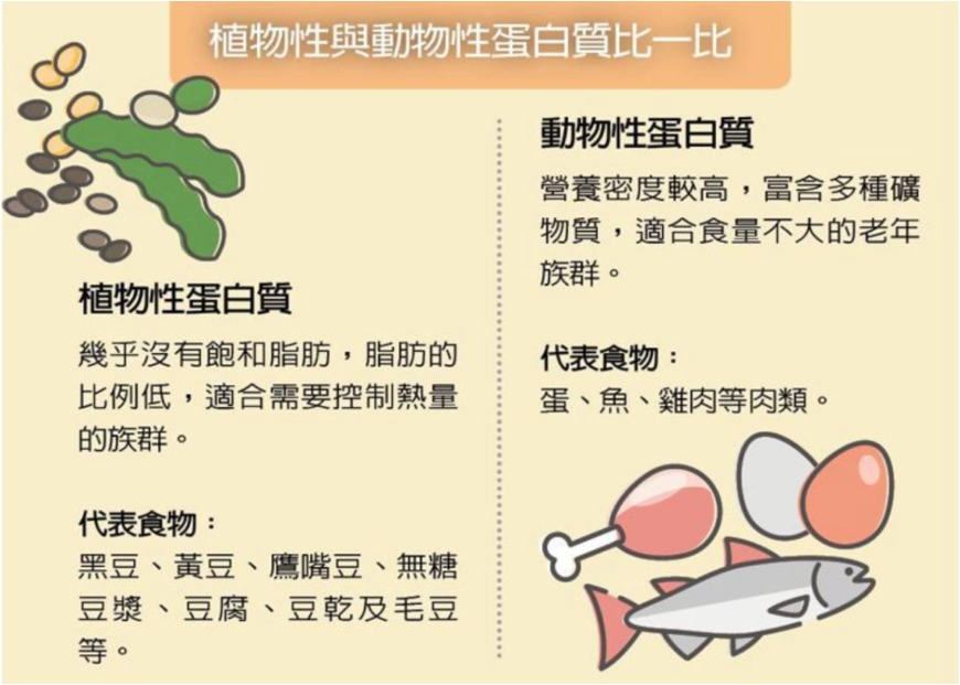 蛋白質吃不夠會肌少症、吃太多又怕傷腎！熟齡族健身飲食該怎麼吃？_img_1