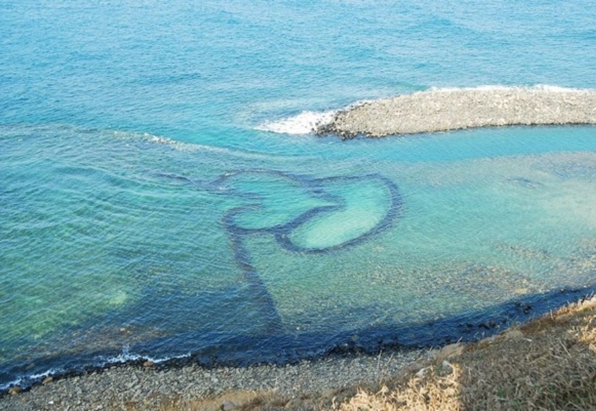 42年外交生涯的體會！前駐法代表呂慶龍：放棄就什麼都沒有，努力就還有機會_img_2