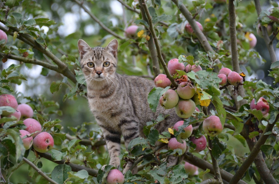 42年外交生涯的體會！前駐法代表呂慶龍：放棄就什麼都沒有，努力就還有機會_img_3