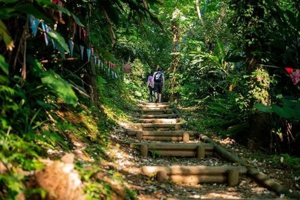 遇見浪漫五月雪！新北桐花小旅行8路線，走花毯、排愛心、一期一會季節感_img_3