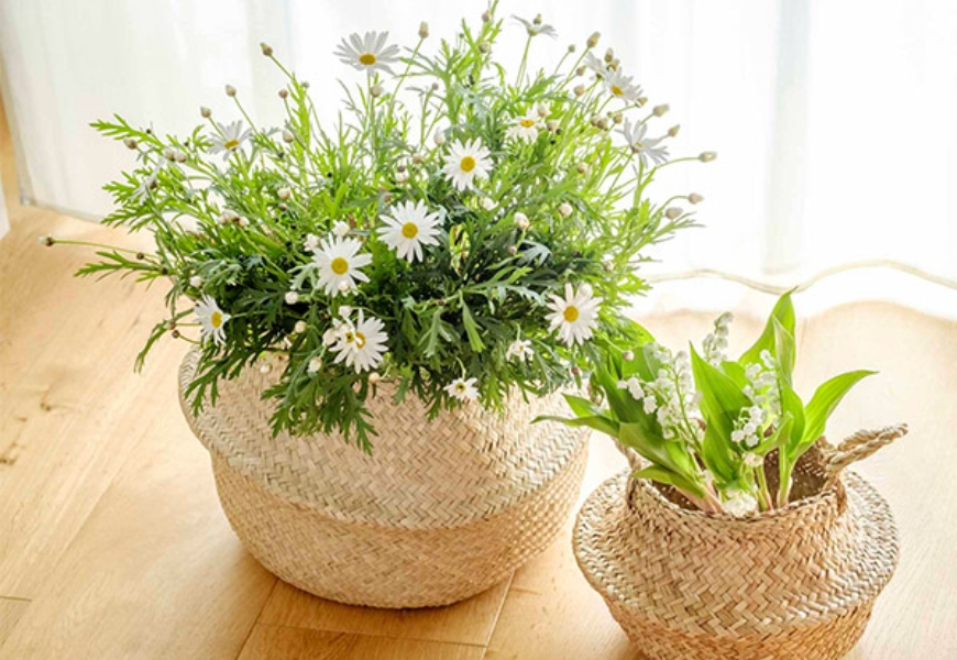 不須插花技巧，也能用花卉為空間增添質感！花卉師教你5種創意居家花藝裝飾_img_4