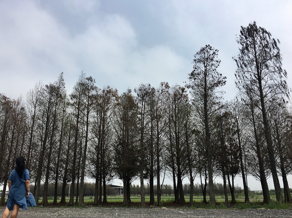 自己開車出門玩10天!陳小涵:沒人趕、沒人管,不用配合別人好自由 _img_1