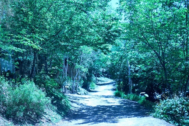 喝紅酒、吃起司,看月光雲海!Grace分享一個人露營的快樂:油門一踩,我就開始充電 _img_3