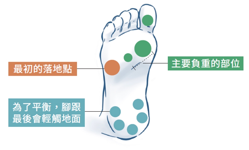 逆轉糖尿病前期與脂肪肝！徐棟英：降低膝蓋、足踝與心臟負擔的節拍超慢跑，怎麼跑？_img_5