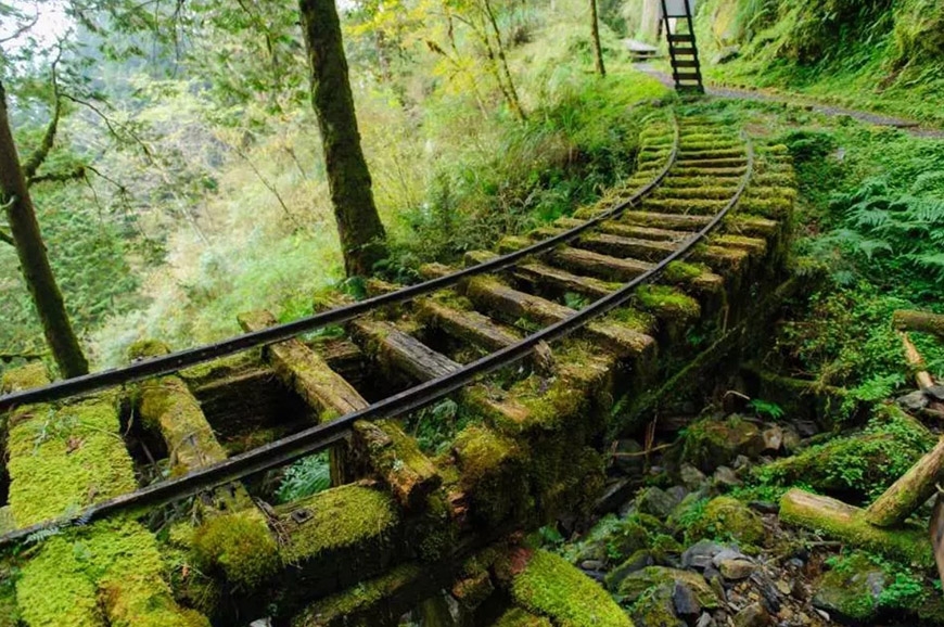 炎炎夏日，這些景點有如天然冷氣房！森林步道、瀑布溪谷，7景點出遊兼避暑_img_1