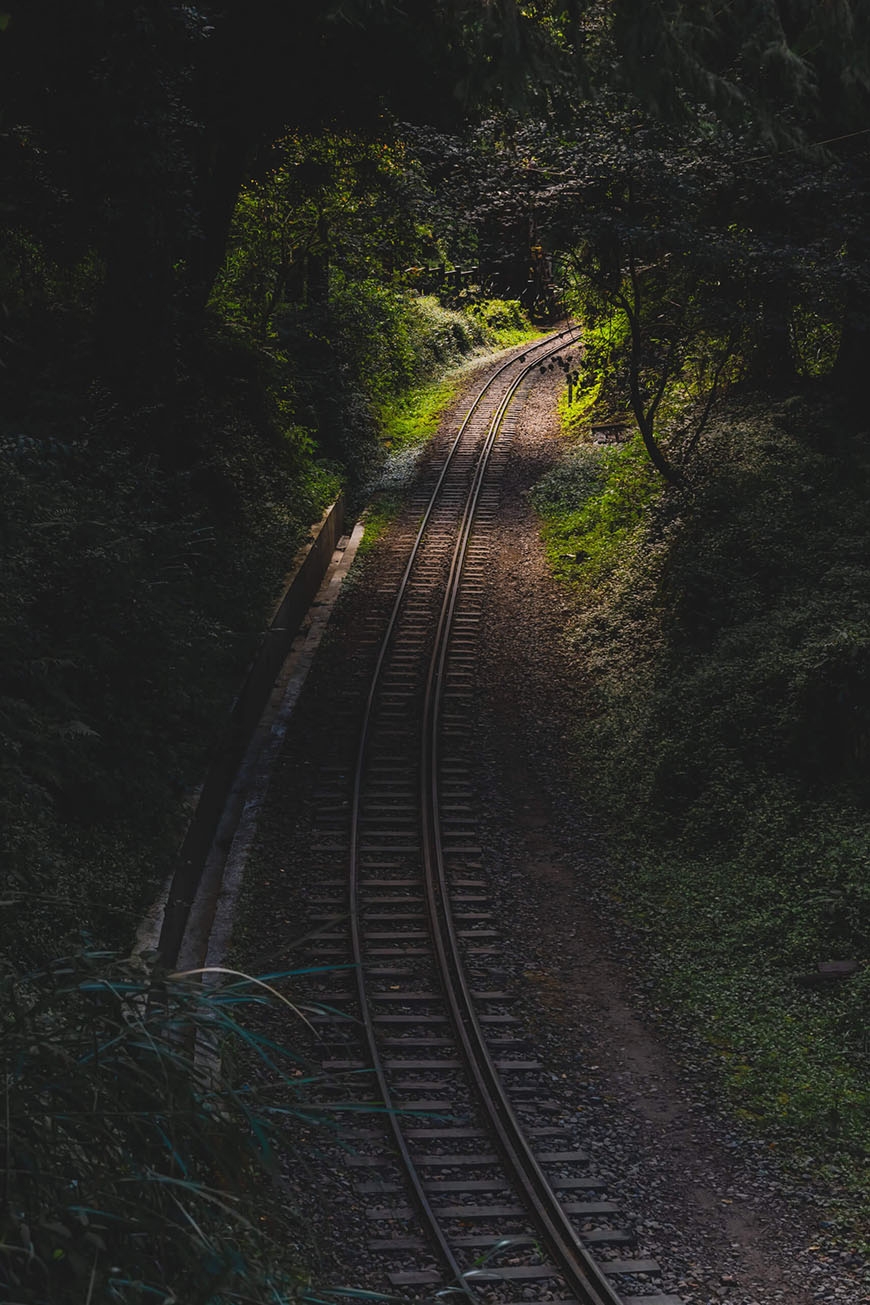 參天古木包圍的絕美鐵路步道!阿里山眠月線重啟:申請、交通、裝備、安全重點一次看懂_img_3
