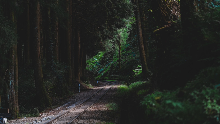 參天古木包圍的絕美鐵路步道!阿里山眠月線重啟:申請、交通、裝備、安全重點一次看懂_img_4