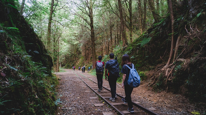 參天古木包圍的絕美鐵路步道!阿里山眠月線重啟:申請、交通、裝備、安全重點一次看懂_img_6