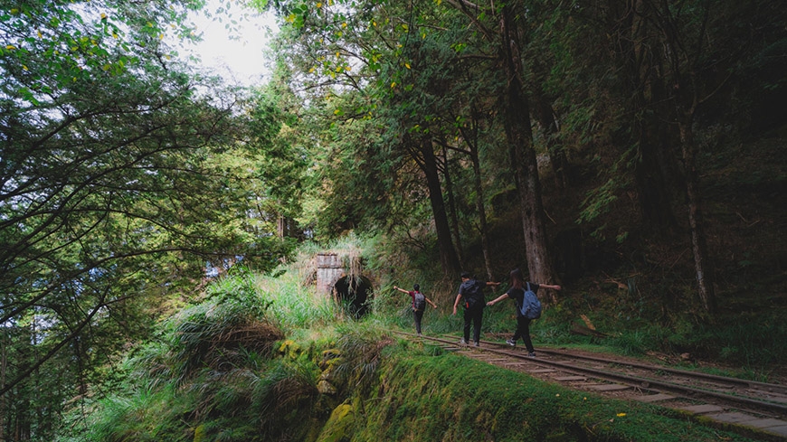 參天古木包圍的絕美鐵路步道!阿里山眠月線重啟:申請、交通、裝備、安全重點一次看懂_img_7