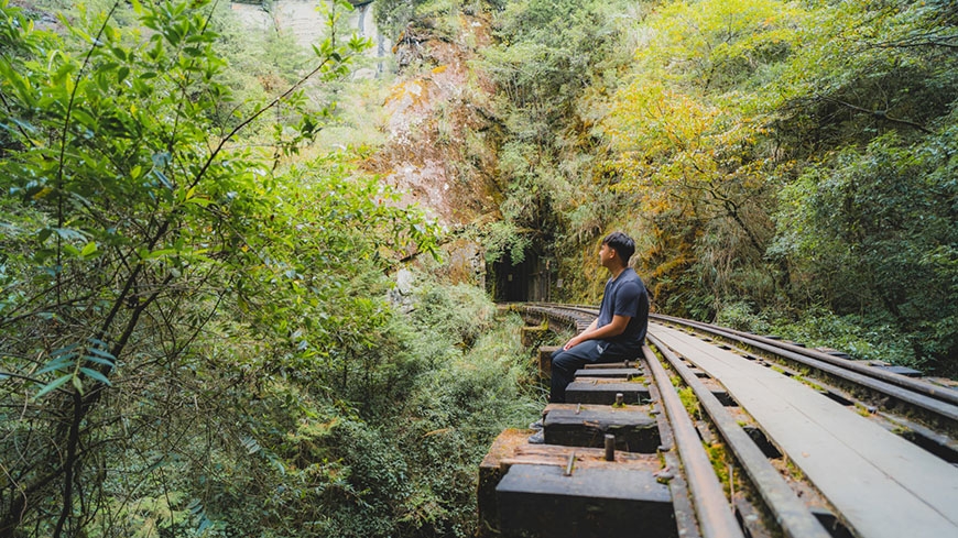 參天古木包圍的絕美鐵路步道!阿里山眠月線重啟:申請、交通、裝備、安全重點一次看懂_img_9