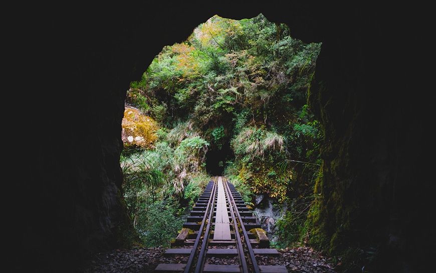 參天古木包圍的絕美鐵路步道!阿里山眠月線重啟:申請、交通、裝備、安全重點一次看懂_img_10