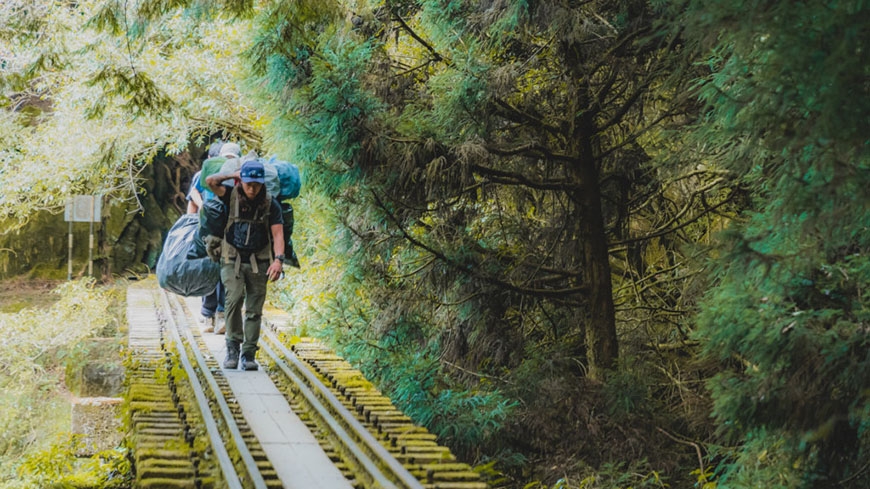 參天古木包圍的絕美鐵路步道!阿里山眠月線重啟:申請、交通、裝備、安全重點一次看懂_img_12