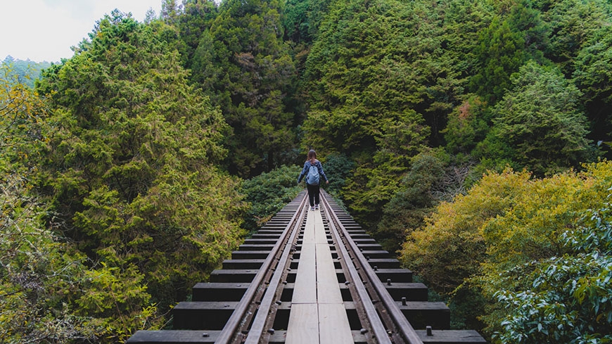 參天古木包圍的絕美鐵路步道！阿里山眠月線重啟：申請、交通、裝備、安全重點一次看懂_img_14