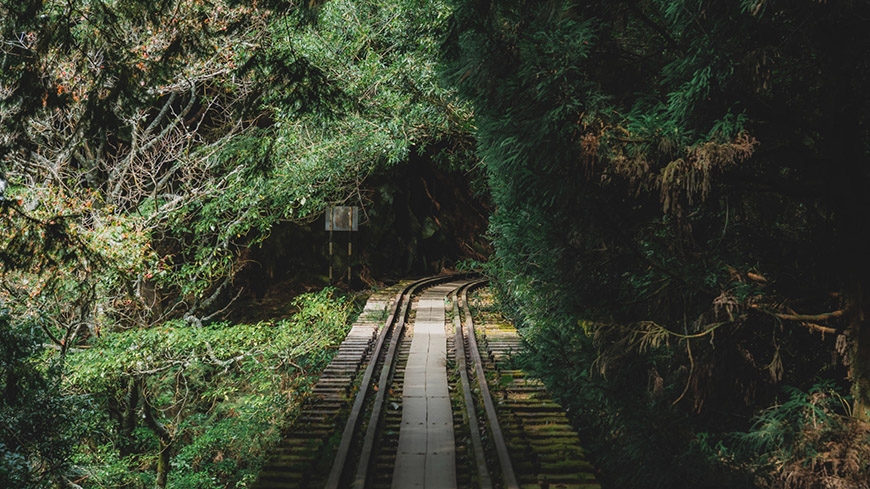 參天古木包圍的絕美鐵路步道!阿里山眠月線重啟:申請、交通、裝備、安全重點一次看懂_img_13
