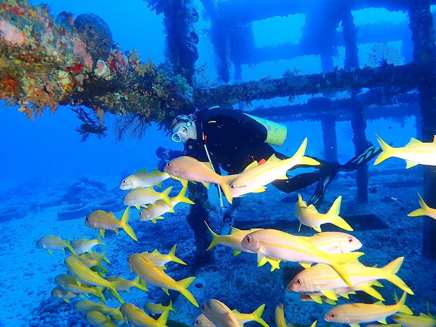 一週運動6小時,視覺年齡少10歲!林湘羚:運動讓我走出憂鬱,凍齡只是順便而已_img_6