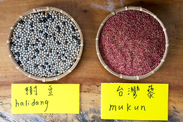 退休後在臺東找到新價值！部落媽媽周翠華：自學植物和傳統料理，把原民風味找回來_img_2