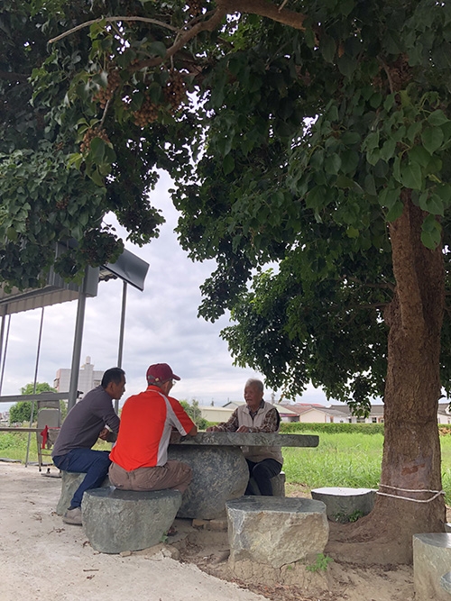 91歲自在安適的獨居生活!陳鴻飛:兒女有自己的人生,「若即若離」的關心讓彼此都舒服_img_1