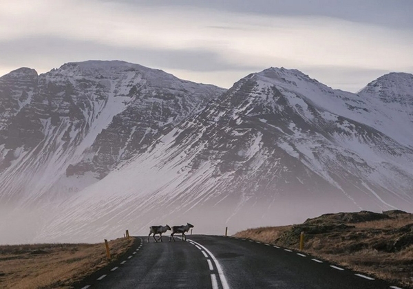 自駕公路旅行,自在看美景!全球15條最美公路,穿越冰原、沙漠、沿海岸領略大自然魅力_img_9