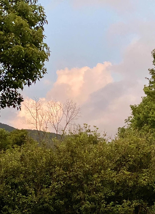 鄉居生活最美好之處，就是可以欣賞四時變換的美景。