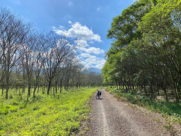 單車是Vincent在鄉居主要的代步工具。