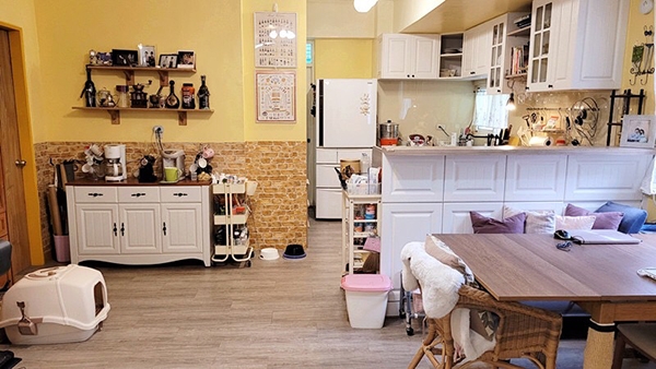 從50坪改住進17坪的空間，書桌餐桌合一，何安蒔說並沒有太大的壓迫感，因本來就不需要那麼大。