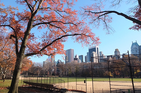 熱愛棒球的黃俊隆，在紐約留學期間，也一圓朝聖中央公園棒球場的夢想。（圖片來源：《有時候我會想起你，然後想起自己》）