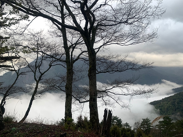 秀麗的雲海教人沉醉，行走其間身心格外舒暢。