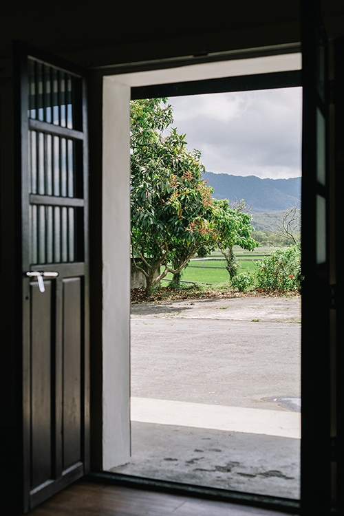 蔣勳在龍仔尾駐村的農舍，門外就是廣闊的縱谷風景。
