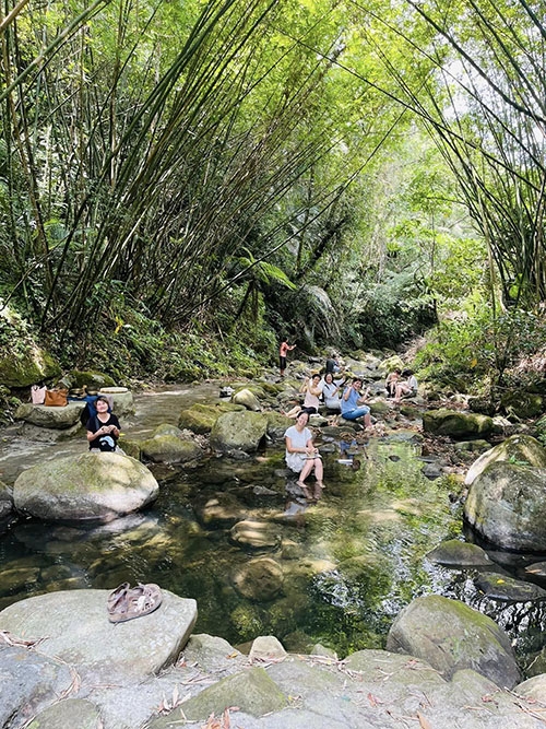 杜蘊宸在「翫雙溪書苑」舉辦各種體驗活動，帶領學員親近山林之美、深度五感體驗。