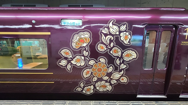 車廂側面的花朵圖案，來自於奈良正倉院天平文化的國寶「螺鈿紫檀五絃琵琶」上面的裝飾。