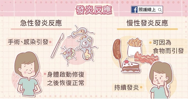 照護線上｜發炎食物懶人包！5種食物讓身體慢性發炎、多吃抗發炎飲食也無法抵銷_img_1