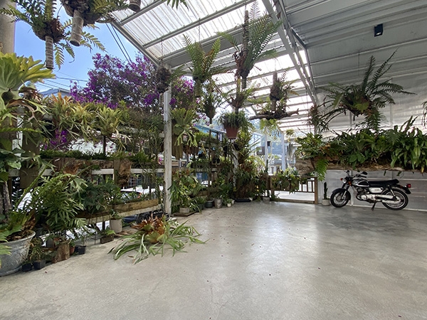 嘉義文青旅行景點推薦!老宅咖啡廳、茶館、森林系餐廳,適合兩日遊的小旅行_img_1