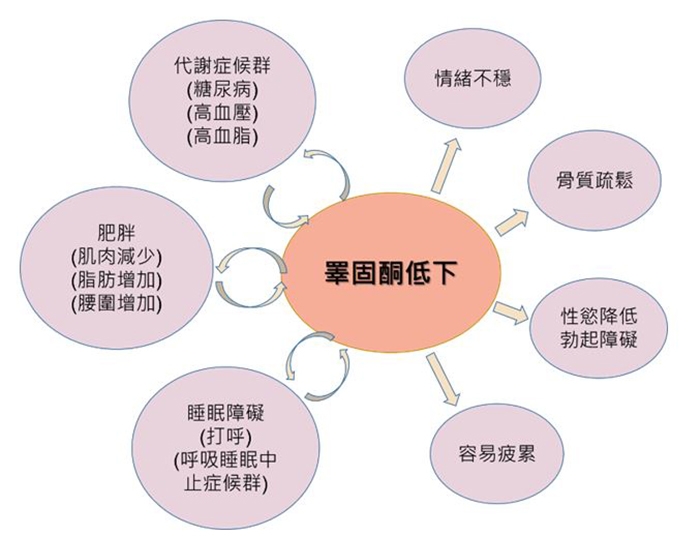 睪固酮低下對健康的6大影響（奇美醫學中心提供）。