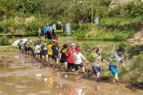 初次見面就一起體驗插秧，從共同的身體經驗累積默契。（王弼正攝）