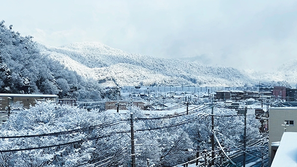 兩人碰上了京都「十年一遇」的大雪，放眼望去盡是雪白一片。