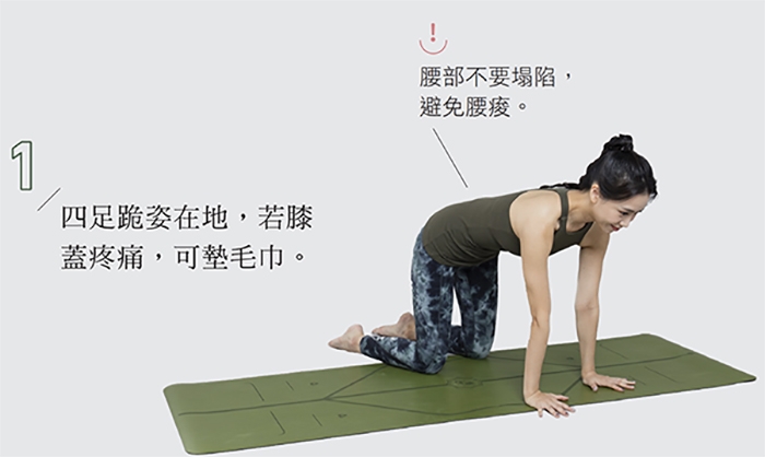 放鬆肌肉就有效！凱蒂瑜伽：3分鐘青蛙式矯正骨盆、讓梨形身材變美_img_1